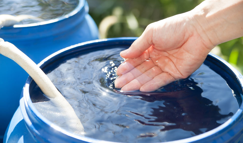 Cuve propre, eau limpide