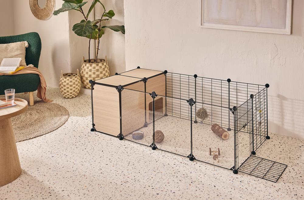 Comment élever un lapin nain en appartement ?