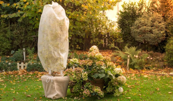 Comment Faire Un Voile D'hivernage Maison