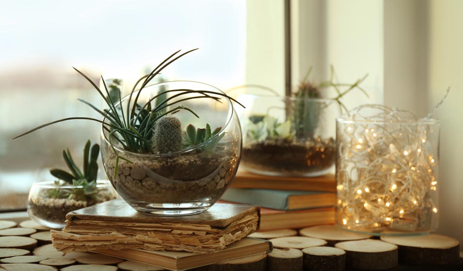 Une petite couverture en bois