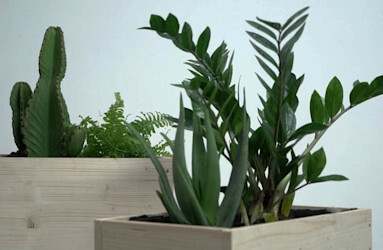 Créer des jardinières nordiques