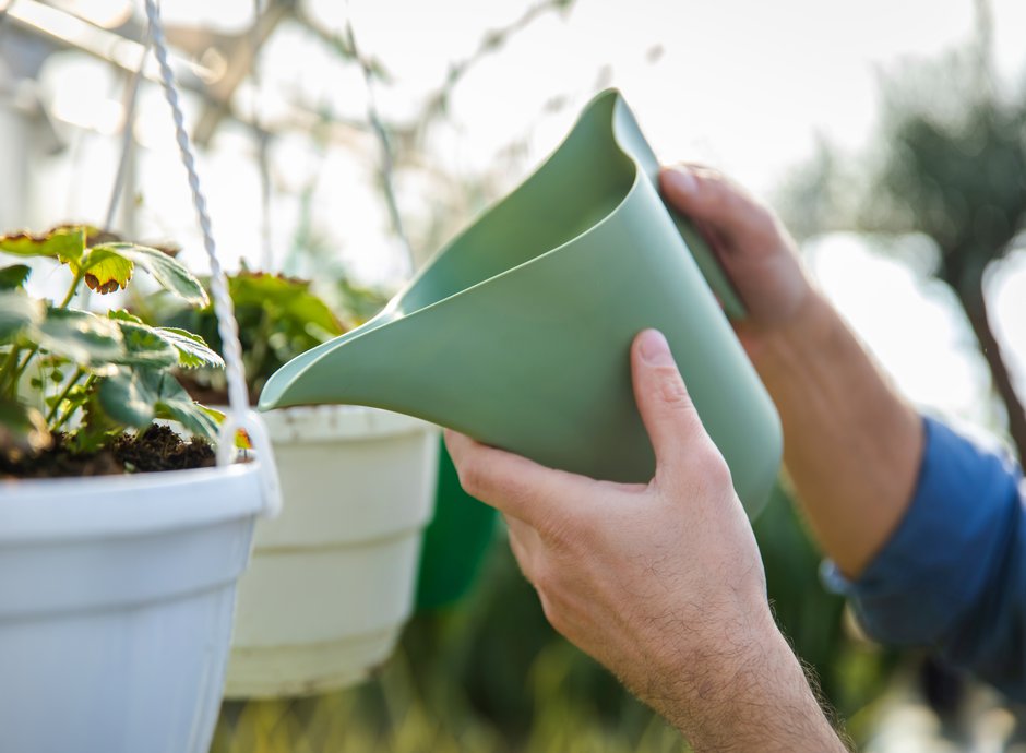 L’excès d’eau est nocif pour les plantes, c’est pourquoi il faut percer les pots de fleurs