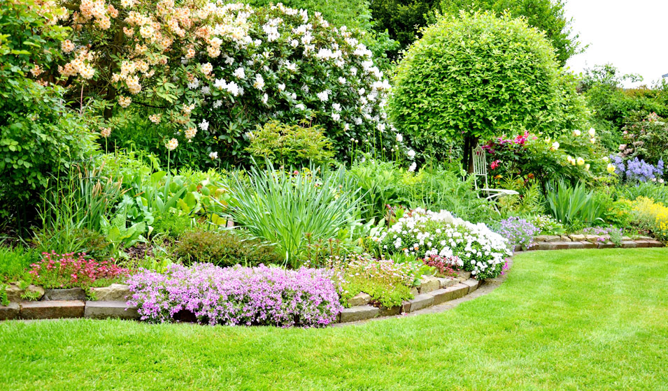 Créez votre jardin paysager avec un kit de plantation