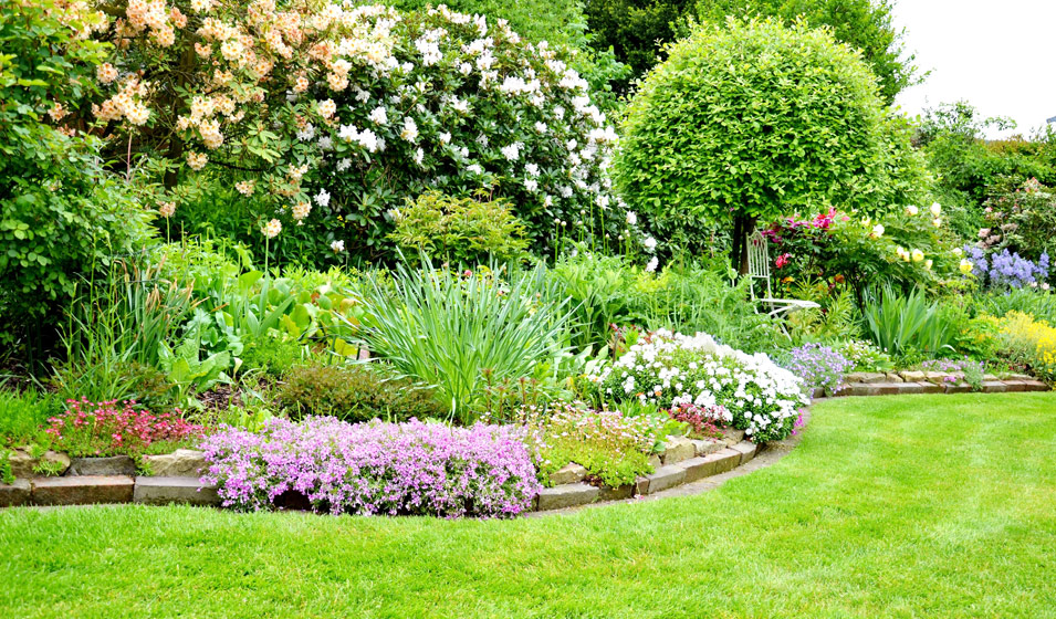 Faire un parterre de fleurs sans entretien : 7 astuces indispensables