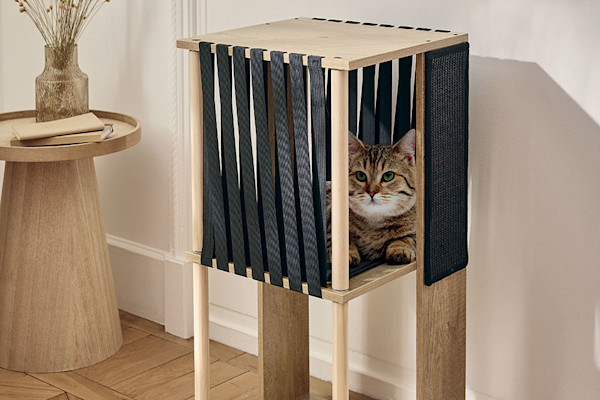 Comment nettoyer un arbre à chat ?