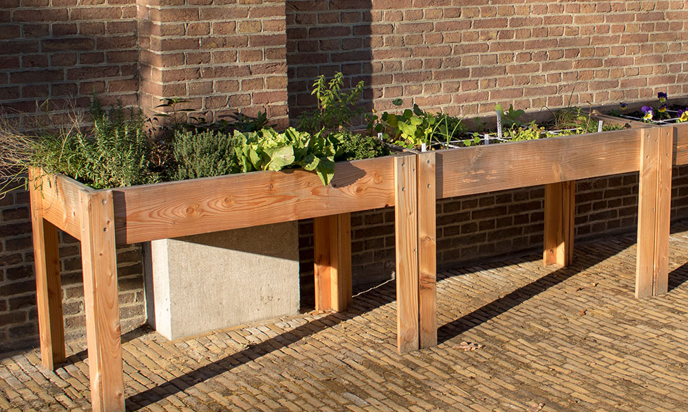 Carrés potager sur pied