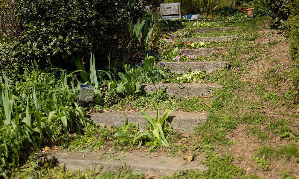 Un escalier fait par François pour contrer la pente du jardin
