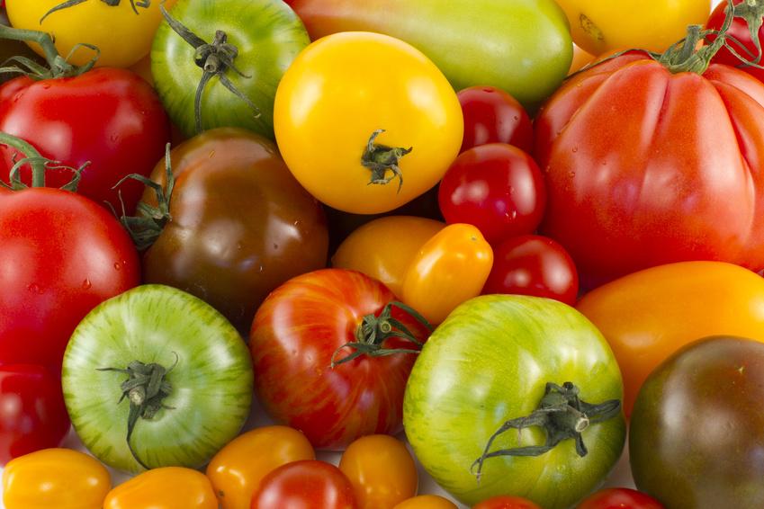La Tomate Noire de Crimée