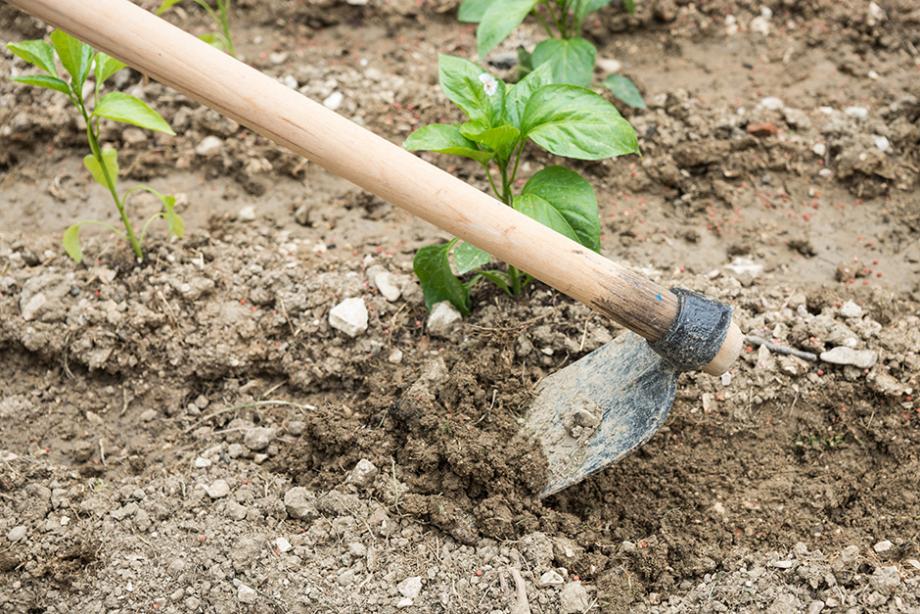 Kit de 7 outils pour les potagers à terre lourde argileuse - Forges et  Jardins