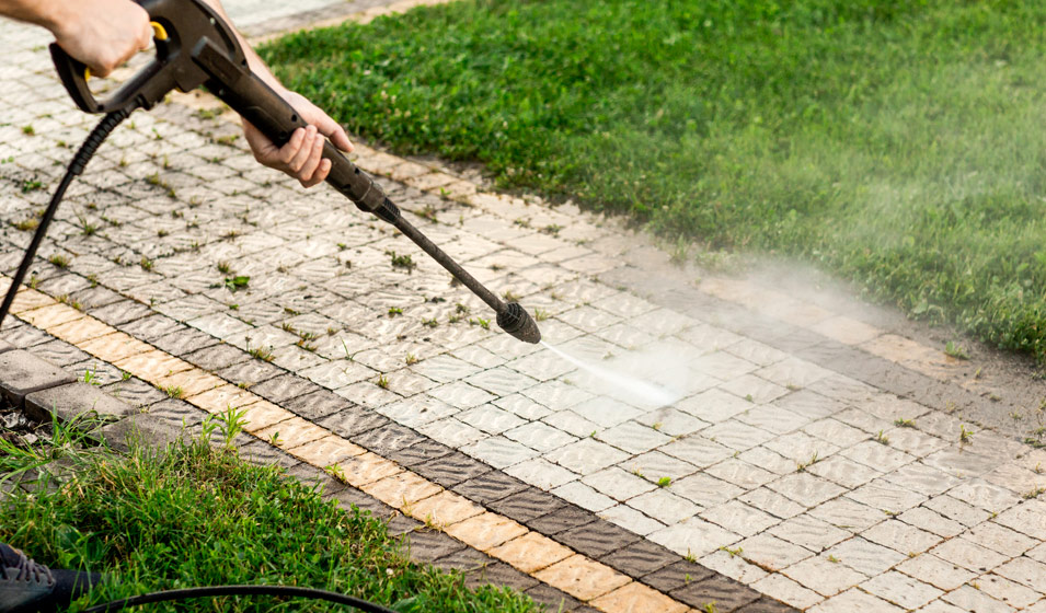 Comment utiliser les feuilles mortes du jardin ? - Jardiland