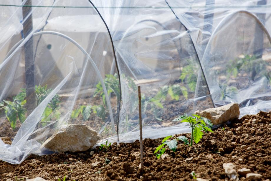 Protection de jardinage pour plantes, semis, potagers, tunnel de culture en  filet léger idéal pour les jardins : : Jardin