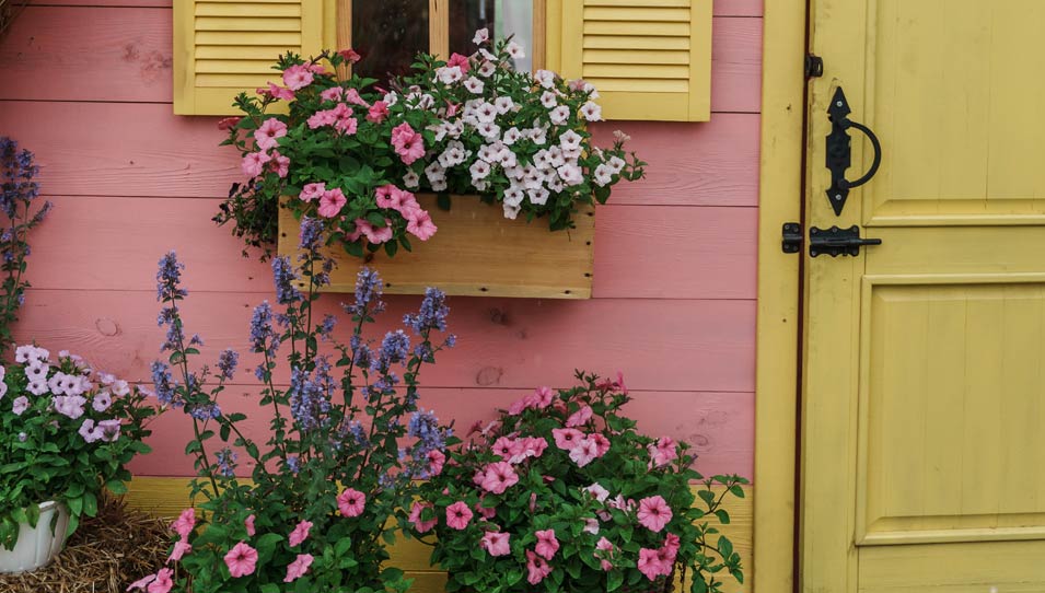 Les belles plantes