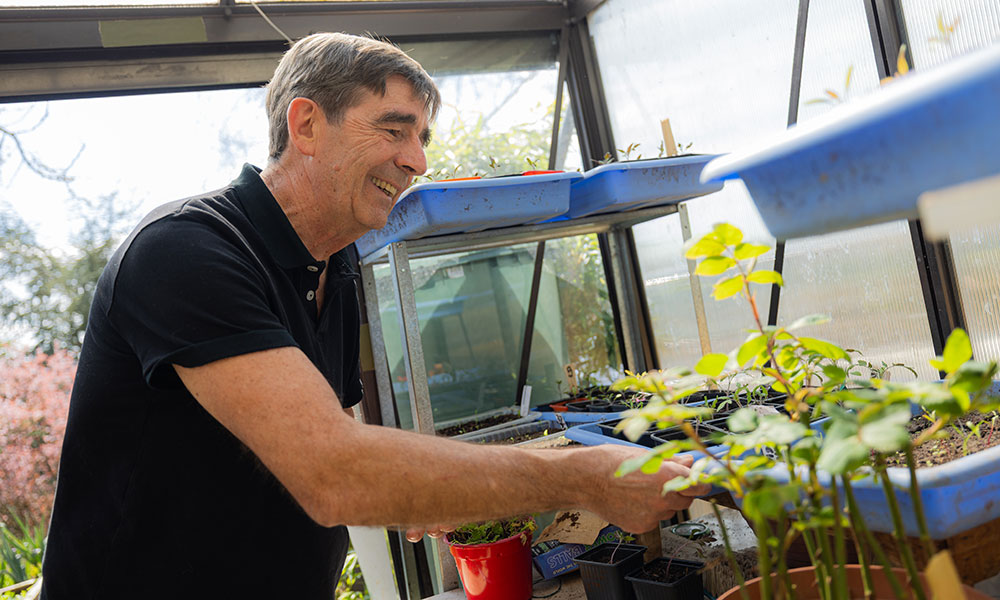 François cultive plus de 30 variétés de tomates ! !