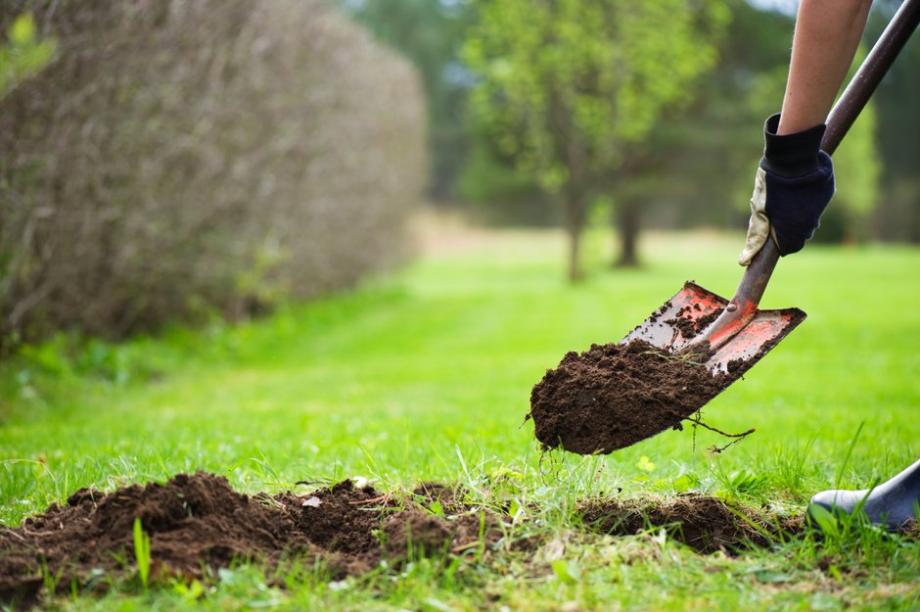 5 outils pour creuser la terre facilement - Gamm vert