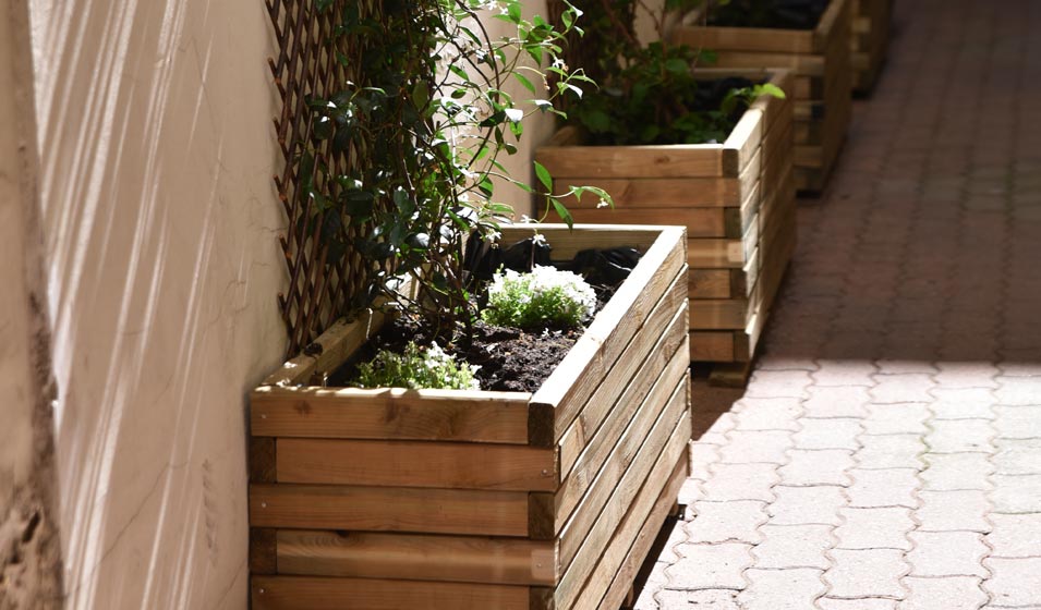 Faire plante de tout bois