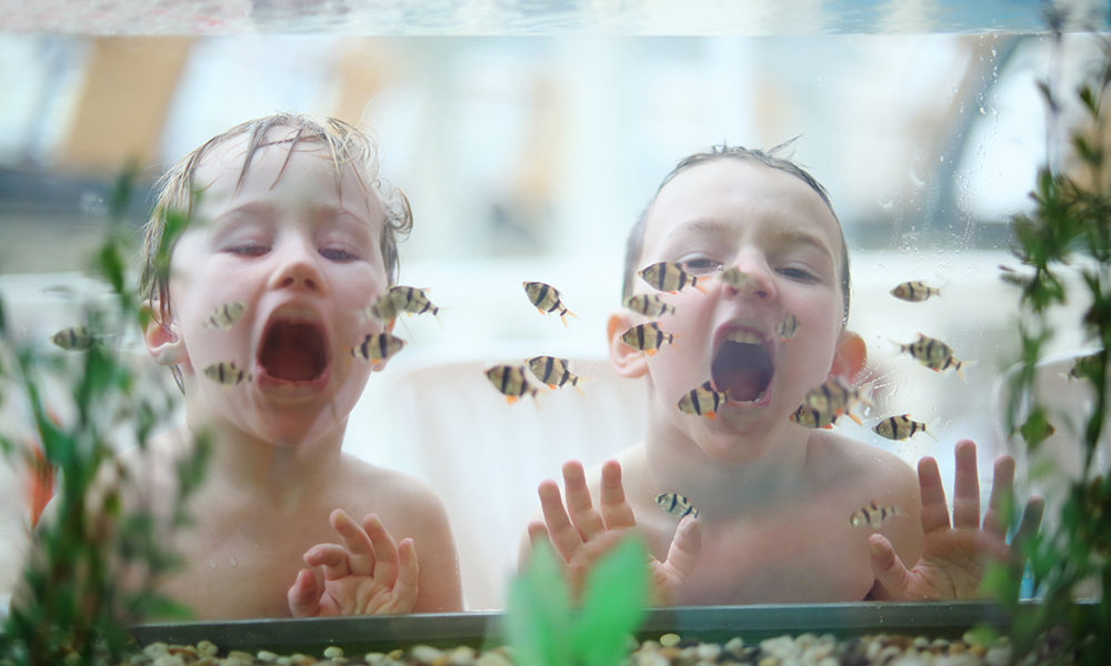 Une eau parfaite pour les poissons !