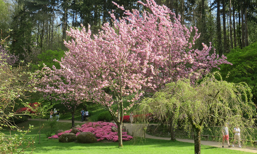 Le Parc oriental de Maulévrier