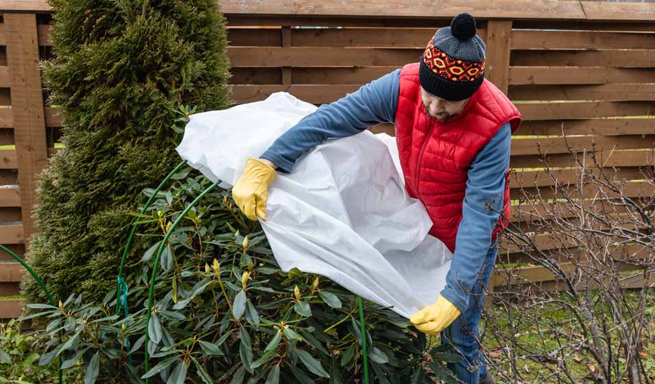 Comment mettre un voile d'hivernage ? - Jardiland