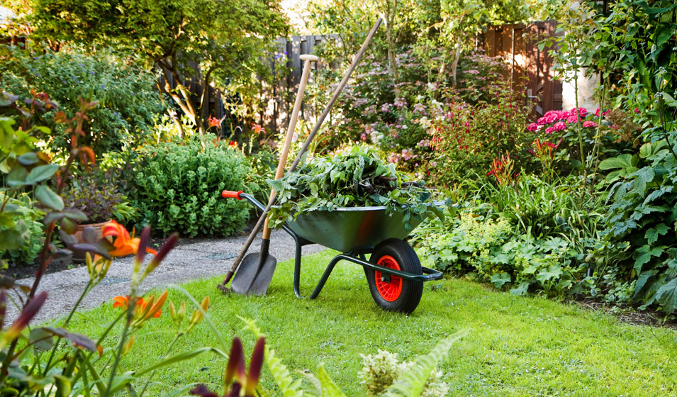 Matériel de jardinage pour entretien de jardin et espaces verts