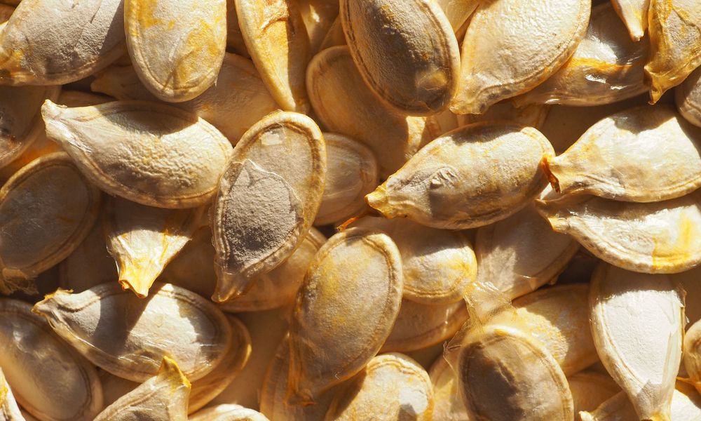 Graines de citrouille