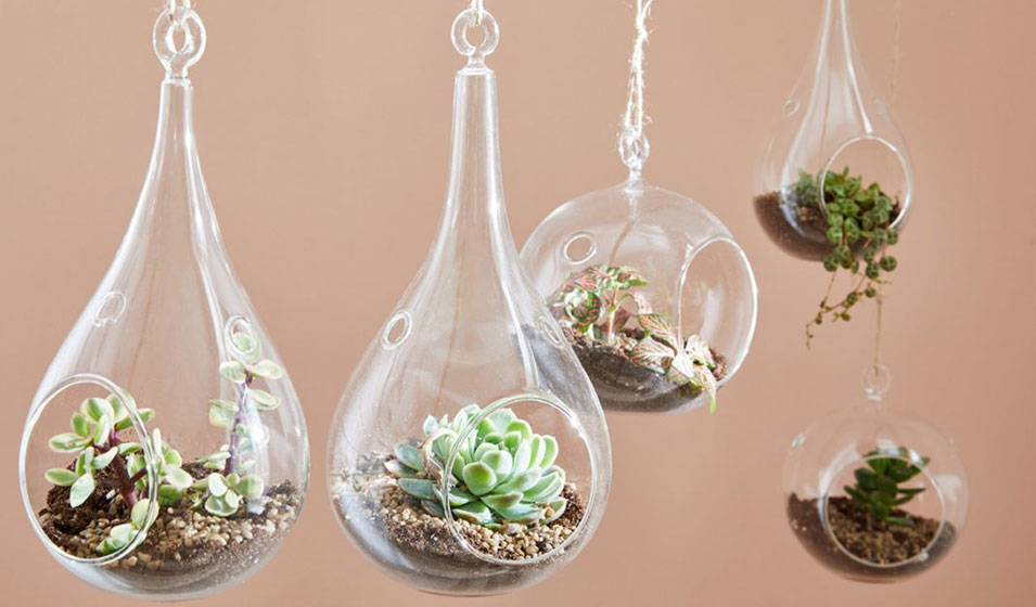 Jardin miniature en suspension