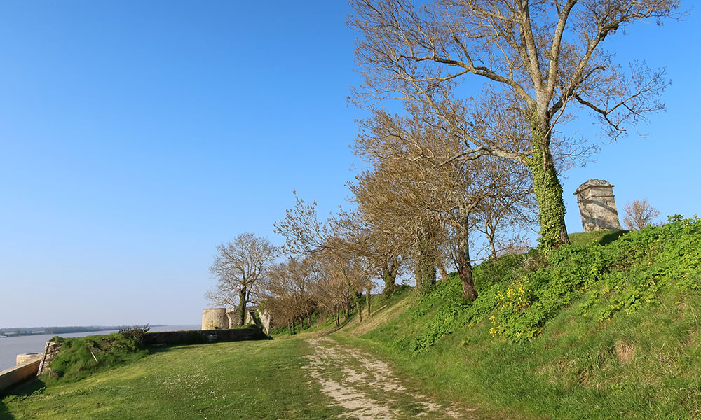 Cyclotourisme au fil du Canal des Deux Mers 