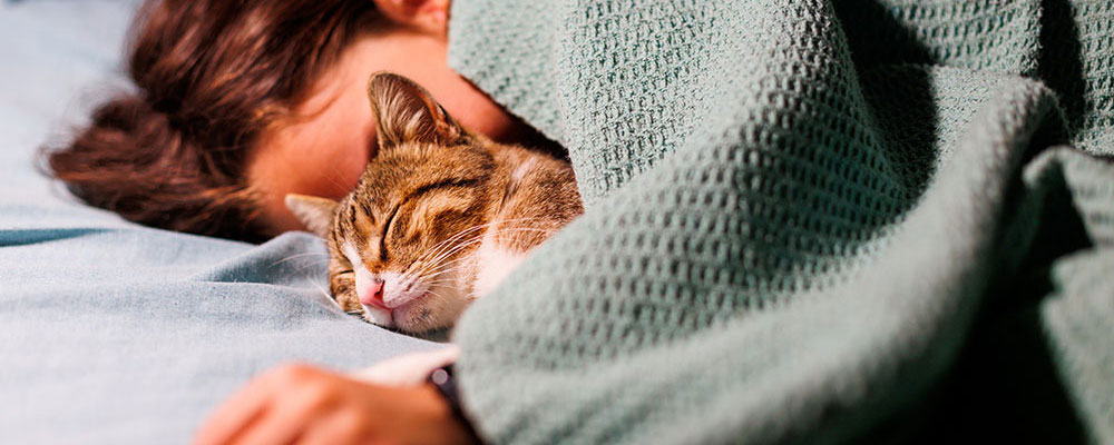 Le sommeil est un moment de vulnérabilité pour le chat, c'est un signe de confiance !