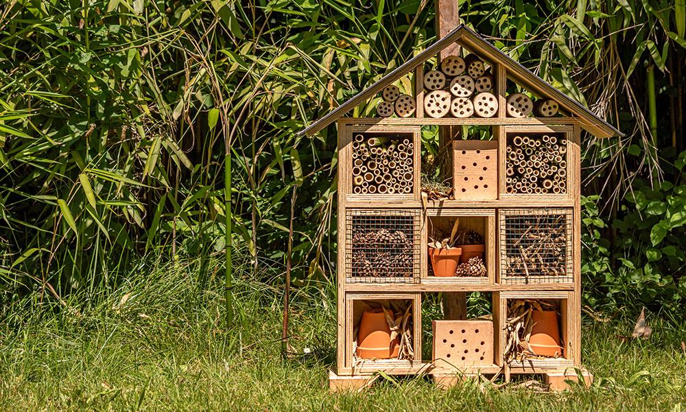 Un hôtel à insectes 