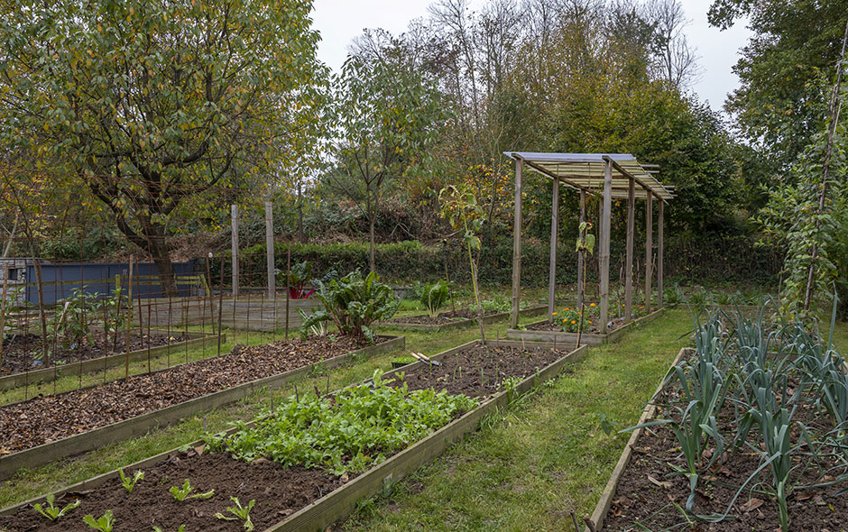 Le potager de Cyril