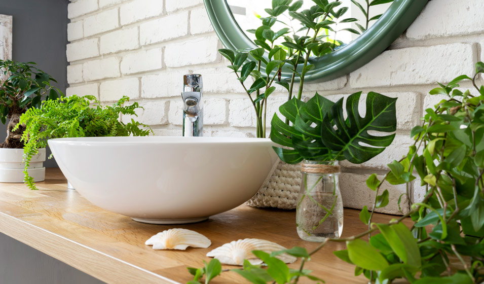 30 idées de plantes pour sa salle de bain - Jardiland