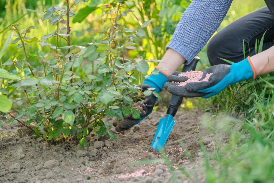Fertilisation du sol avec des scories potassiques