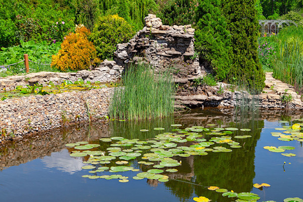 Comment installer son bassin de jardin ?