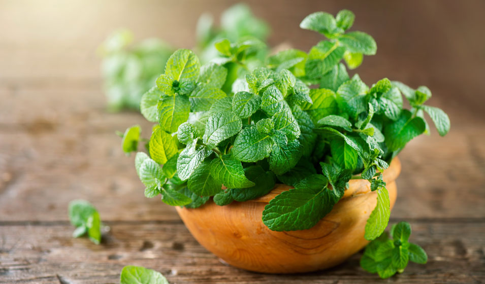 Elles ne "menthe" jamais