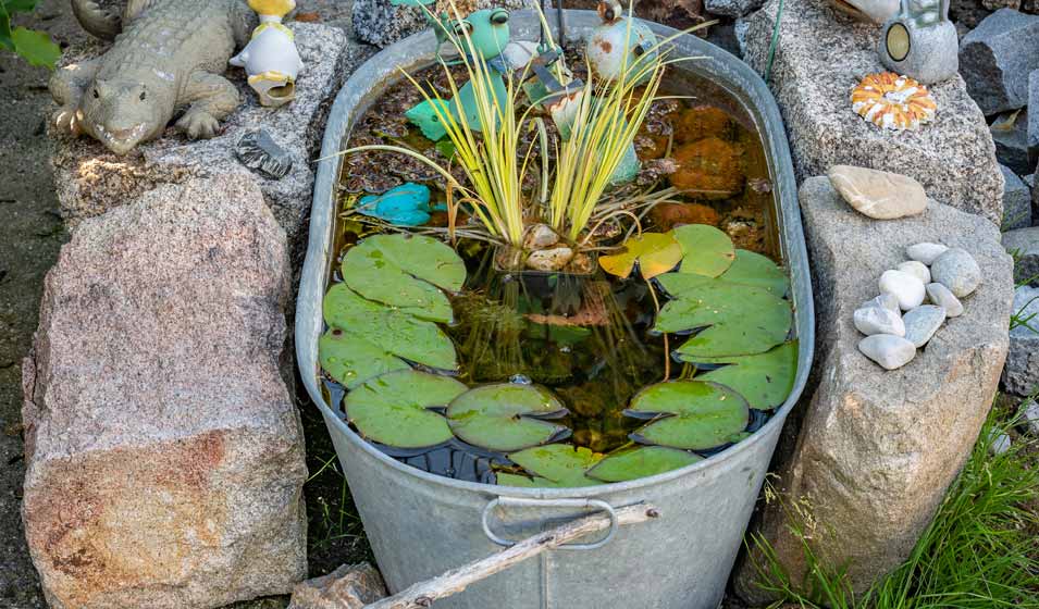 5-id-es-de-mini-bassins-originaux-pour-gayer-son-jardin-jardiland