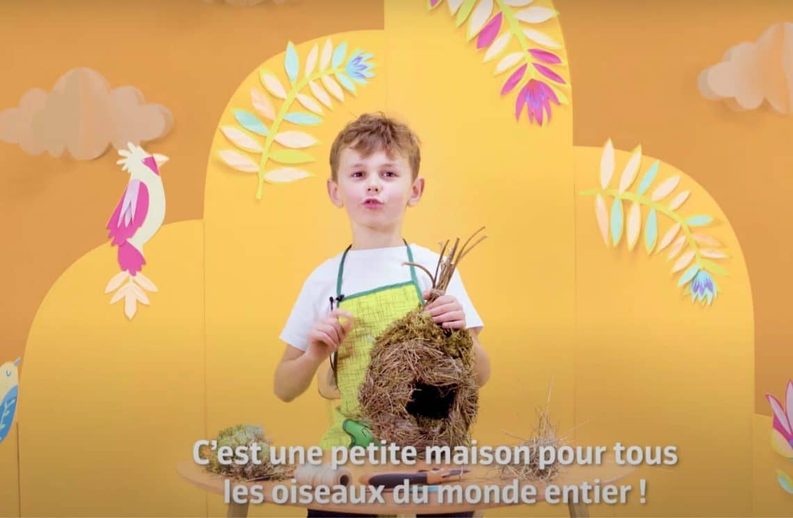Fabriquer un nichoir avec des branches