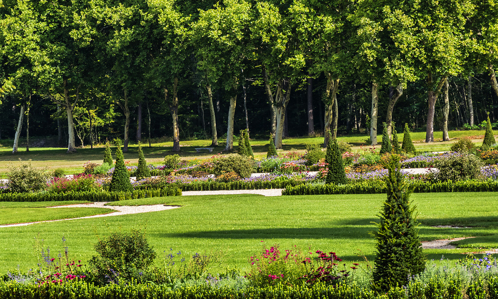 Le parc de Chambord 