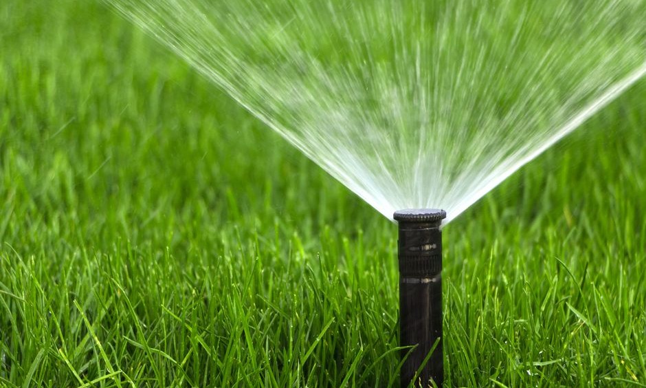 Arroser sa pelouse c’est bien, mais laissez-la se reposer en plein été, elle reviendra encore plus belle et vous économiserez de l’eau !