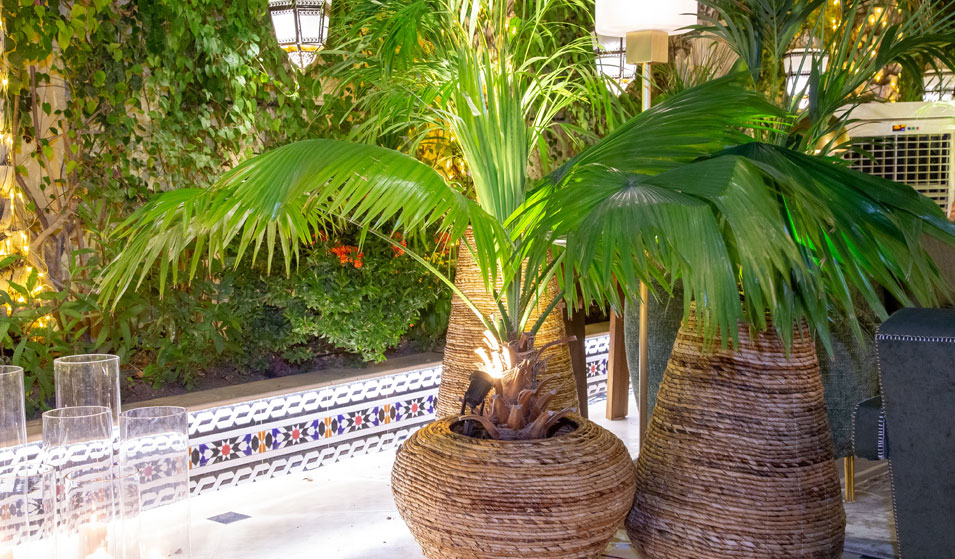 Palmier installé confortablement dans un pot Gallia.  Amenagement jardin  paysager, Idée aménagement jardin, Jardins