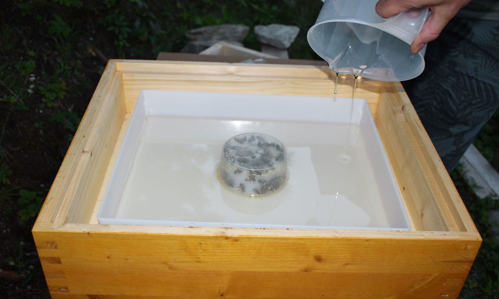 Sirop liquide pour nourrir les abeilles et protéger les réserves de miel pour l’hiver