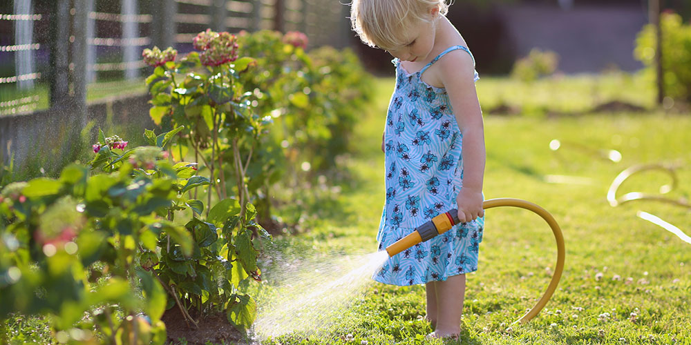 Quel système d'arrosage choisir pour ses plantes d'extérieur avant un départ en vacances ?