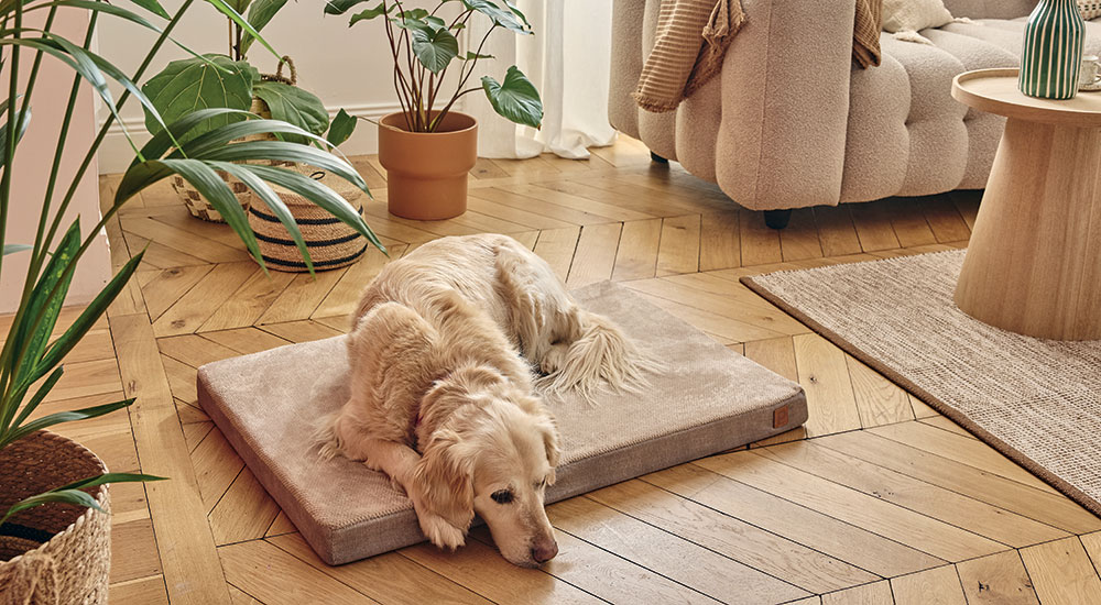 Matelas chien mémoire de forme L - Pure Family