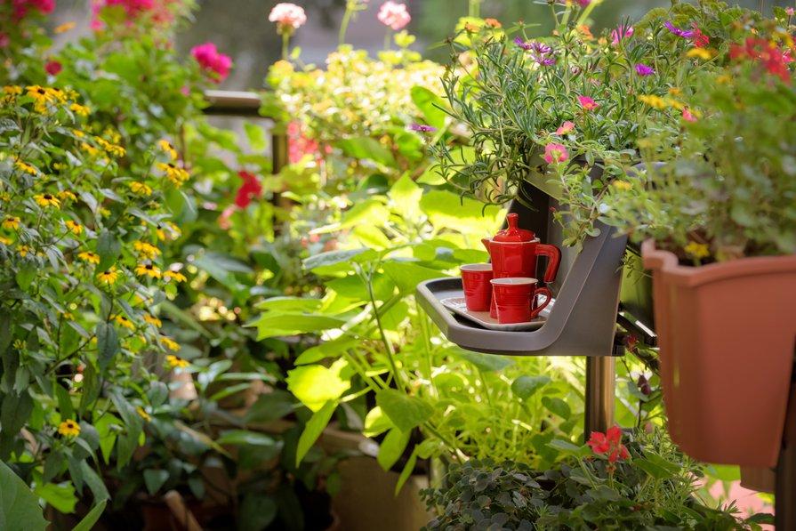Pots et contenants pour cultiver vos plantes