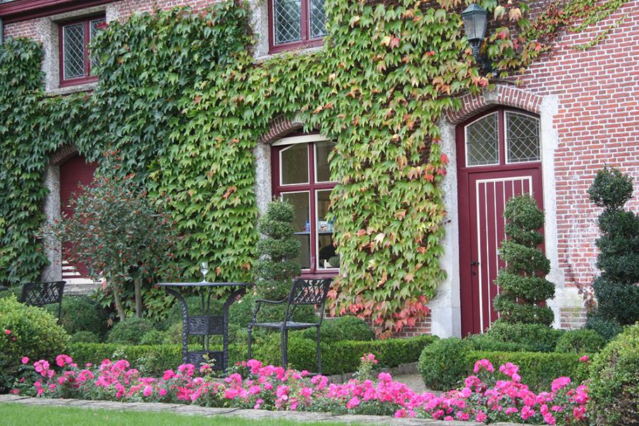 20 plantes grimpantes pour tapisser vos murs en beauté - Gamm vert
