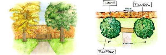 Des arbres selon le jardin à la française