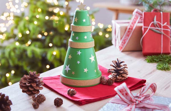 Sapin En Pot Jardiland
