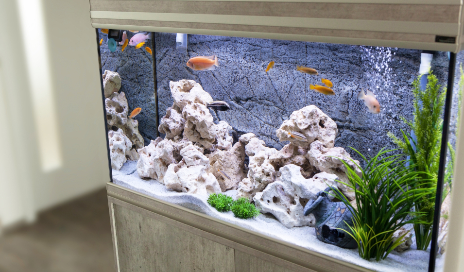 Filtre interne d'aquarium, pompes et filtres pour aquarium d'eau