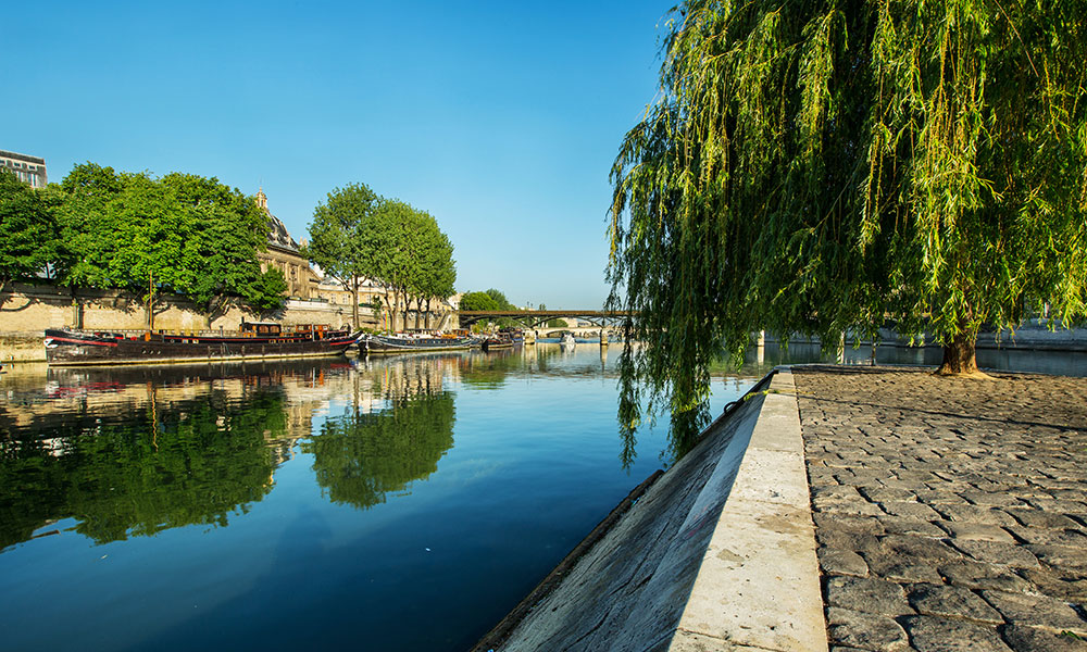 Bords de Seine