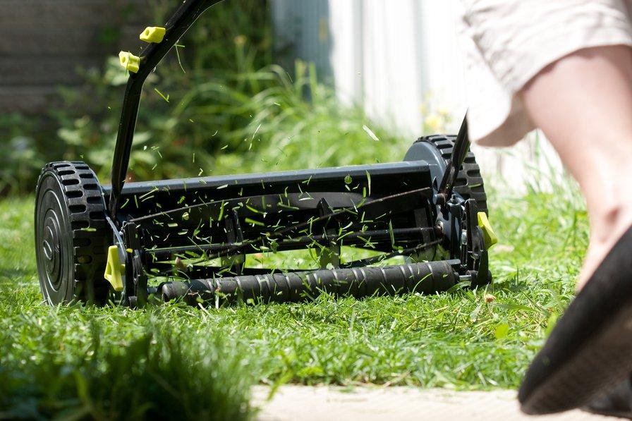 Le rouleau à l'arrière est utile pour rendre le gazon plus dense