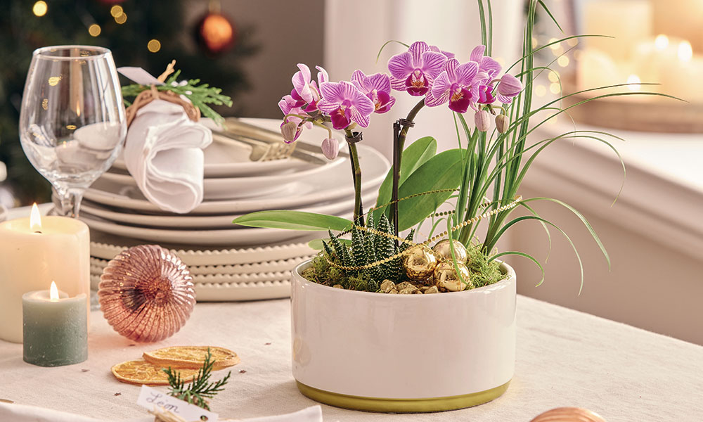 Des fleurs pour la déco de table de fêtes : mini orchidées