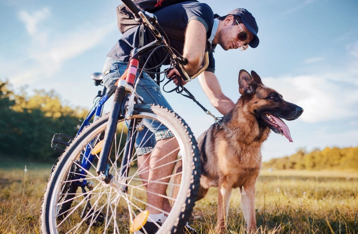 Tout sur le CaniVTT ou comment faire du vélo avec son chien ! Jardiland